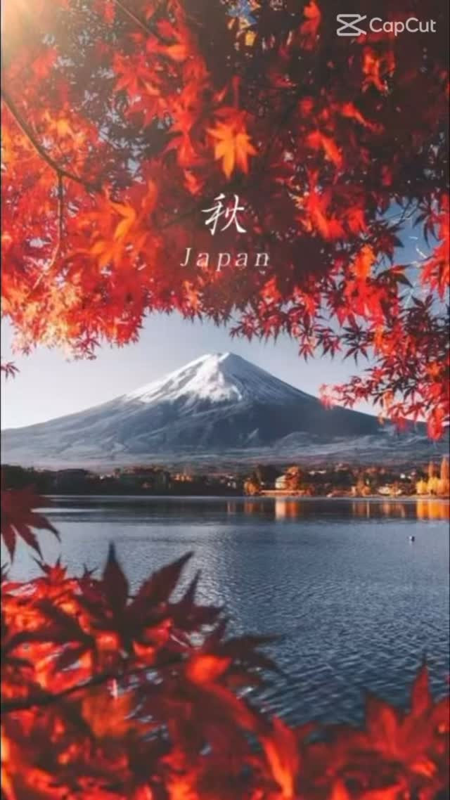 「もう旅行は無理かな…」