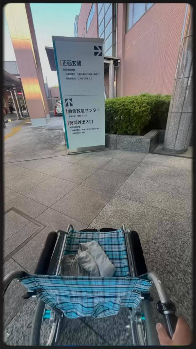 🚕 「車いすでも、人生は止まらない。